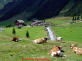 Blick zum Tauernhaus